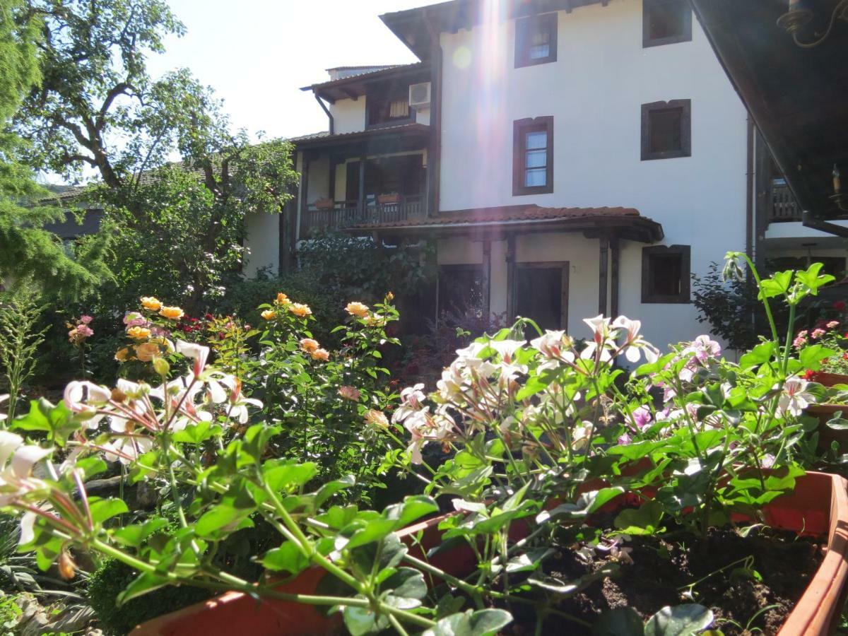 Oazis Guesthouse 洛维奇 外观 照片